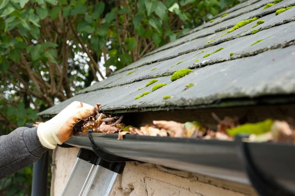GUTTER CLEANING - Advance Exteriors MJ LLC